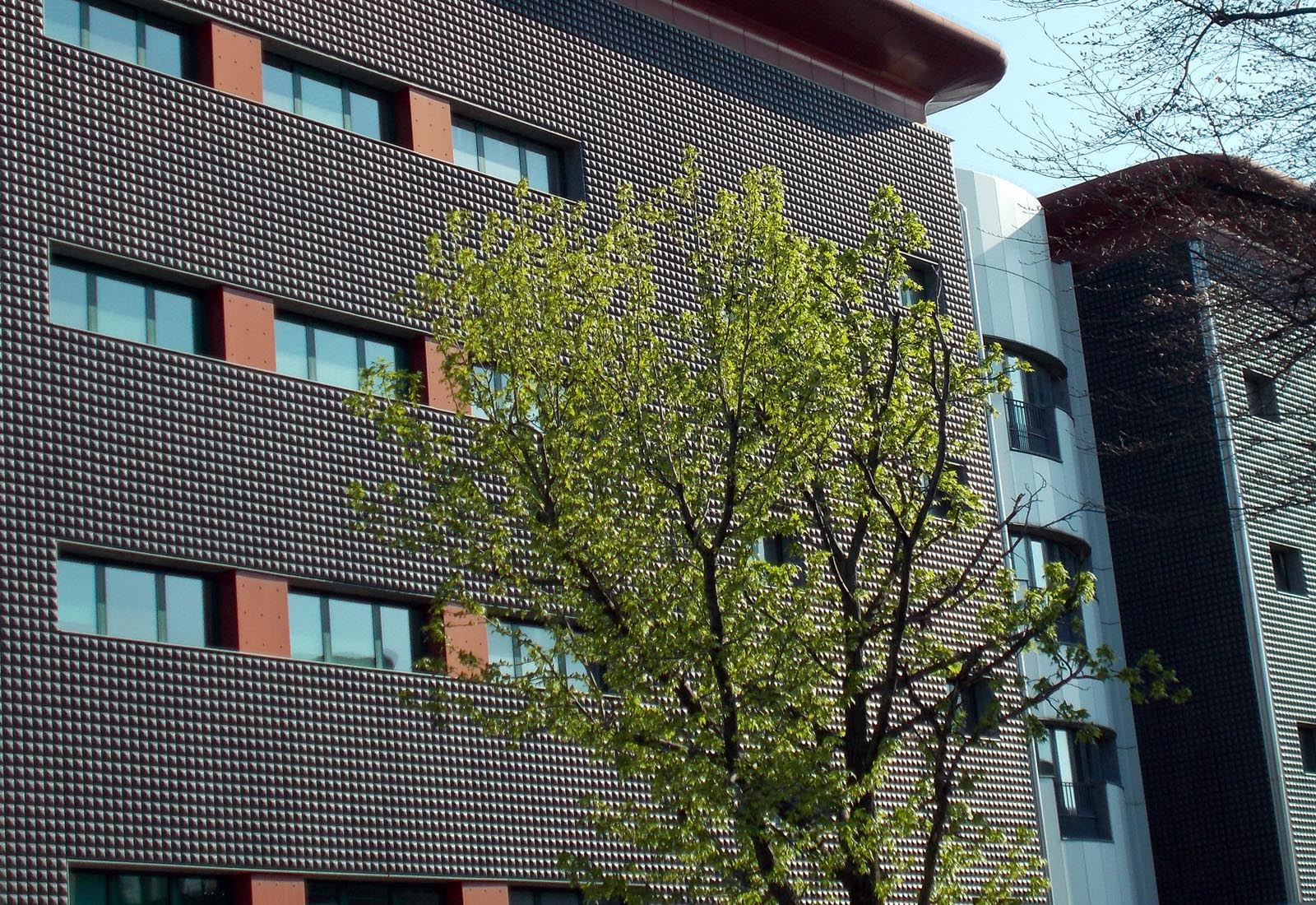 Building 22 Politecnico di Milano - The south facade