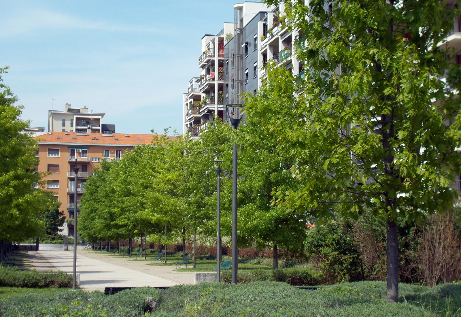 Grazioli Park - The tree-lined avenue