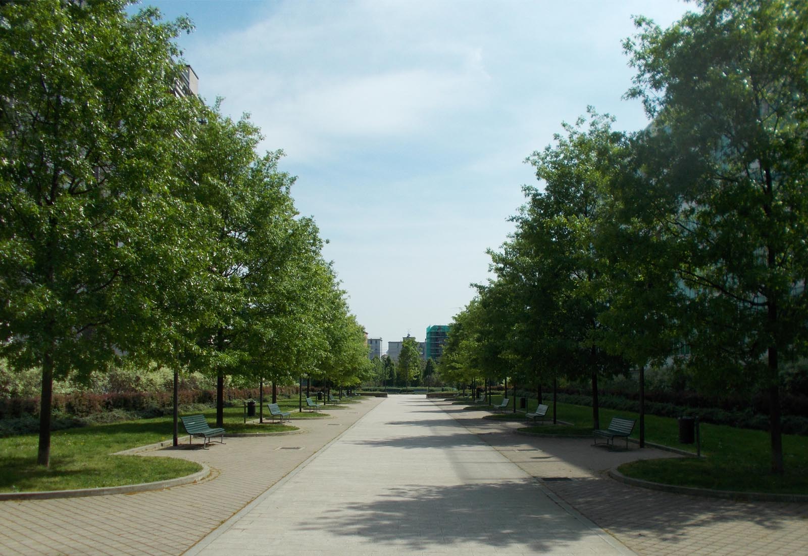 Urbanization works Grazioli area Milan - The tree-lined avenue of the park