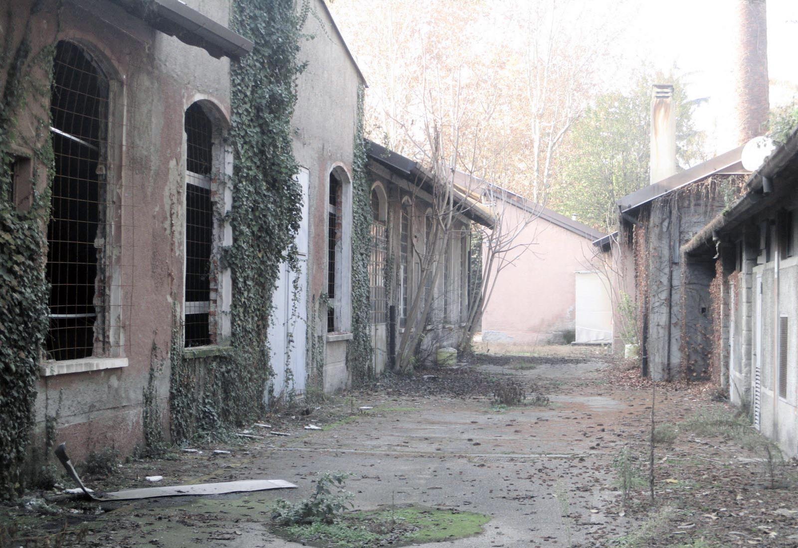 Residential buildings in Tavecchia street in Rho - View inside the lot