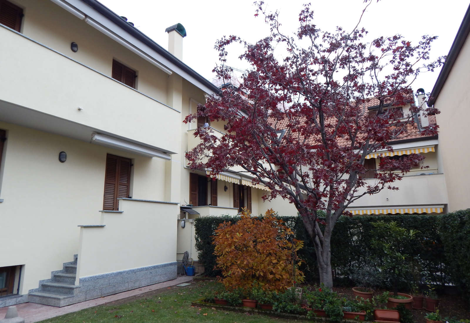 Semi-detached houses in Rho, Acquedotto street - View